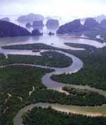 feng_wasser